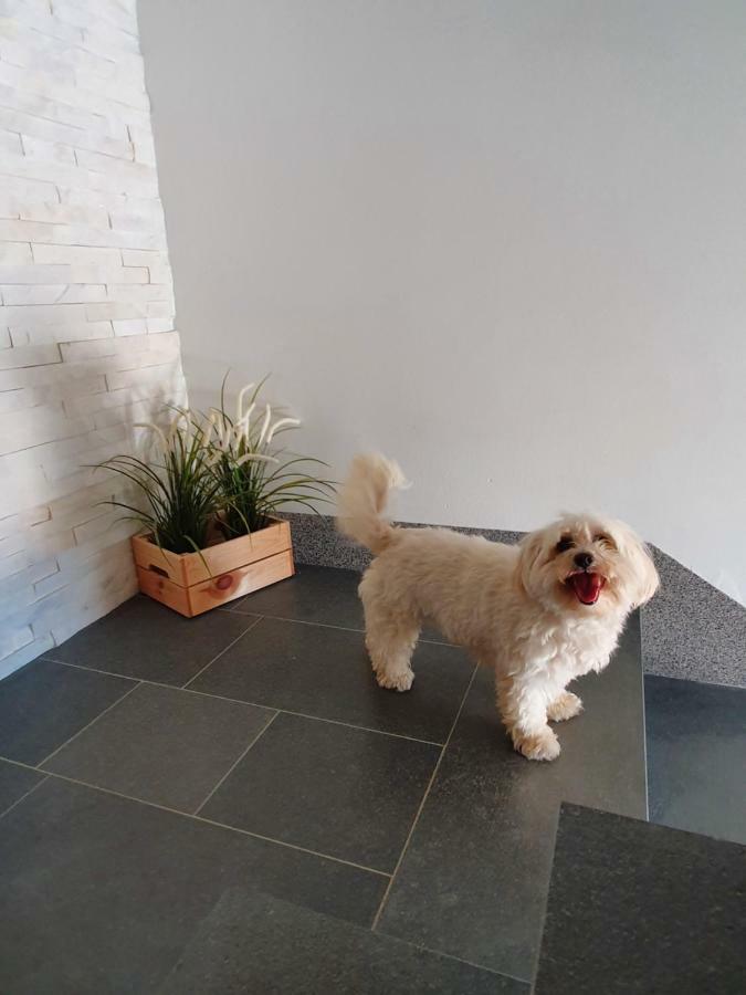 Apartments Borghetto ヴィンクラン エクステリア 写真
